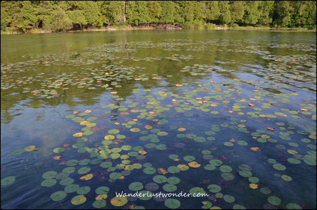 Beautiful lake!