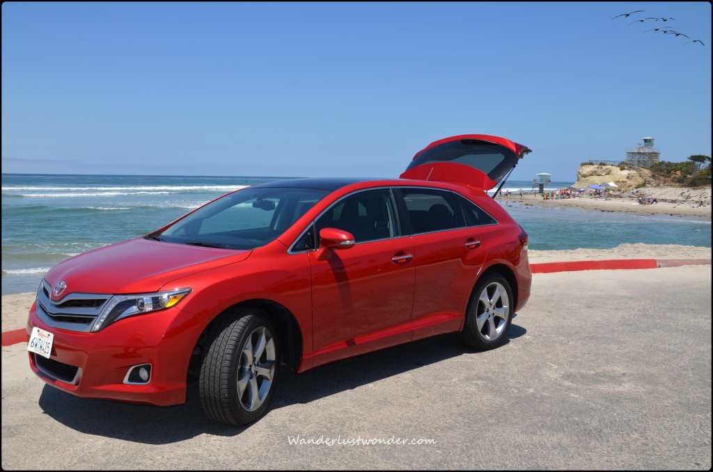 Venza enjoying the beach.