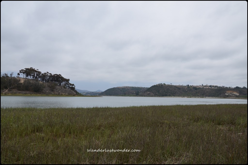 View of the beautiful Batiquitos lagoon.