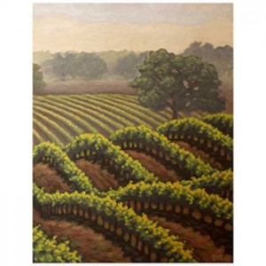 vineyard illustration