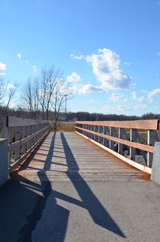 Bridge Over Water