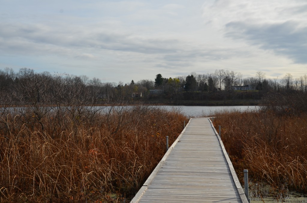 Plenty of places to take a stroll.